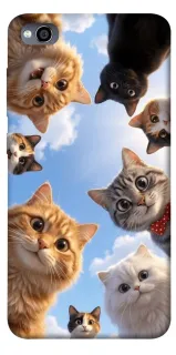Чехол на Xiaomi Redmi 4a Cats фото 1 из 1