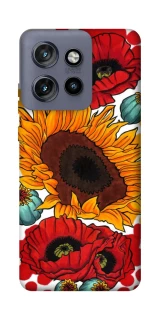 Чехол на Motorola Edge 50 Neo Подсолнечники и маки фото 1 из 1