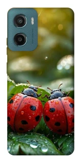 Чохол на Motorola Moto G06 Flowers v23 фото 1 з 1