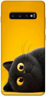 Чохол на Samsung Galaxy S10+ This is Cat фото 1 з 1