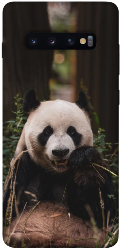 Чохол на Samsung Galaxy S10+ Панда фото 1 з 1