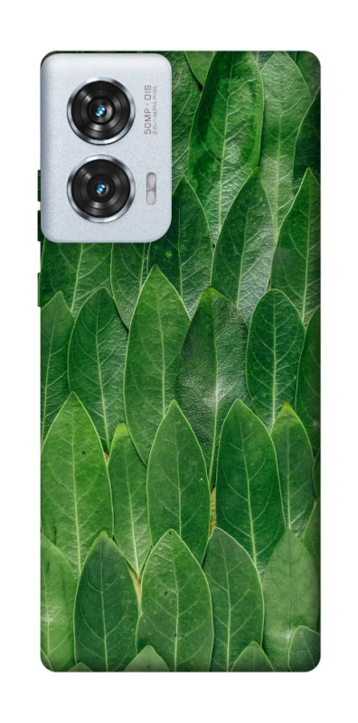 Чохол на Motorola Edge 50 Fusion Листя фото 1 з 1