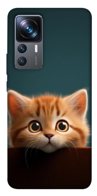 Чохол на Xiaomi 12T / 12T Pro Чохол Кошеня фото 1 з 1