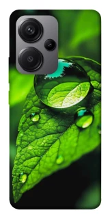 Чехол на Xiaomi Redmi Note 13 Pro+ Flowers v16 фото 1 из 1