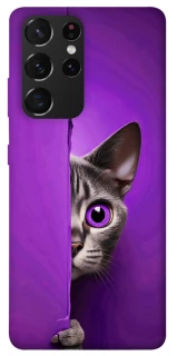 Чохол на Samsung Galaxy S21 Ultra Кіт-підглядач фото 1 з 1