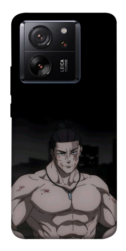 Чехол на Xiaomi 13T Todo фото 1 из 1