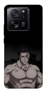 Чехол на Xiaomi 13T Todo фото 1 из 1