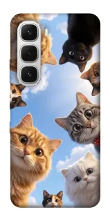 Чехол на Infinix Hot 60i Cats фото 1 из 1