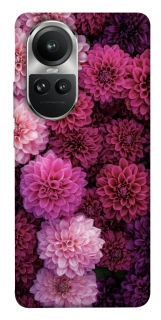 Чохол на Oppo Reno 10 Garden1 фото 1 з 1