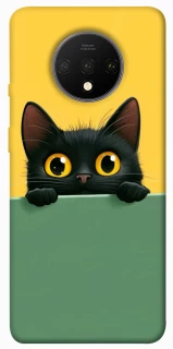 Чохол на OnePlus 7T Black cat v2 фото 1 з 1