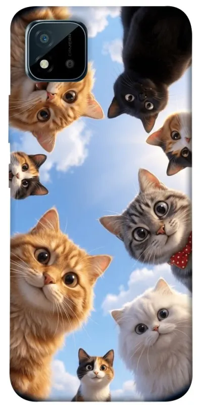 Чохол на Realme C20 Cats фото 1 з 1