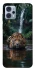 Чохол на Motorola Moto G23 Leopard in water фото 1 з 1