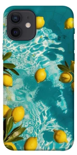 Чохол на Apple iPhone 12 (6.1") Lemon фото 1 з 1