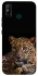 Чохол на TECNO Spark 6 Go Leopard v4 фото 1 з 1
