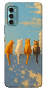 Чехол на Motorola Moto G60 cats on wall фото 1 из 1