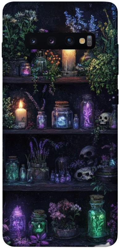 Чохол на Samsung Galaxy S10+ Magic shelf ver.1 фото 1 з 1