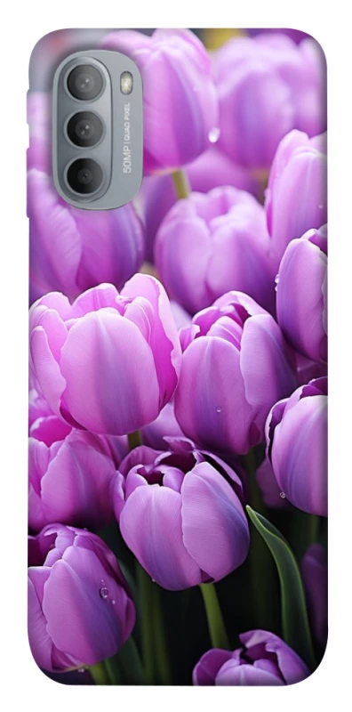 Чехол на Motorola Moto G31 Фиолетовые тюльпаны фото 1 из 1