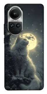 Чохол на Oppo Reno 10 Кіт під місяцем фото 1 з 1