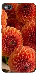 Чохол на Xiaomi Redmi 4a Flower1 фото 1 з 1