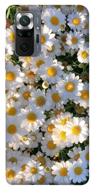 Чохол на Xiaomi Redmi Note 10 Pro Поле ромашок фото 1 з 1