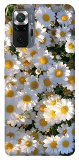 Чохол на Xiaomi Redmi Note 10 Pro Поле ромашок фото 1 з 1