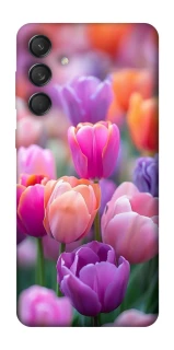 Чохол на Samsung Galaxy M55 Тюльпанове поле фото 1 з 1
