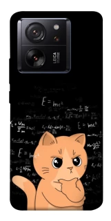 Чохол на Xiaomi 13T Smart cat фото 1 з 1
