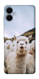 Чохол на Samsung Galaxy A07 Лама фото 1 з 1