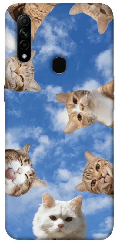 Чехол на Oppo A31 Сats фото 1 из 1