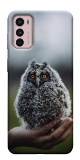 Чехол на Motorola Moto G42 Совёнок фото 1 из 1