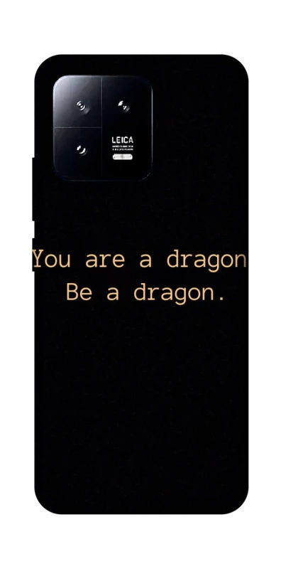 Чехол на Xiaomi 13 House of the Dragon ver.9 фото 1 из 1