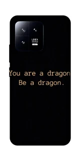 Чохол на Xiaomi 13 House of the Dragon ver.9 фото 1 з 1