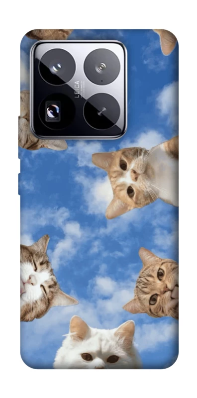 Чехол на Xiaomi 15 Pro Сats фото 1 из 1