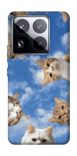 Чохол на Xiaomi 15 Pro Сats фото 1 з 1