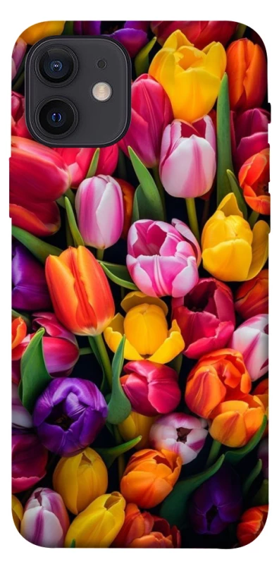 Чехол на Apple iPhone 12 (6.1") Flowers v30 фото 1 из 1