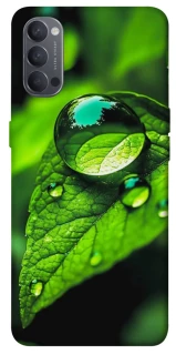 Чохол на Oppo Reno 4 Flowers v16 фото 1 з 1