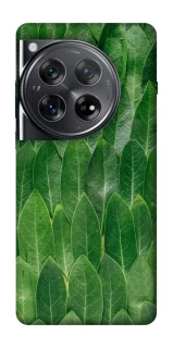 Чехол на OnePlus 12 Листья фото 1 из 1