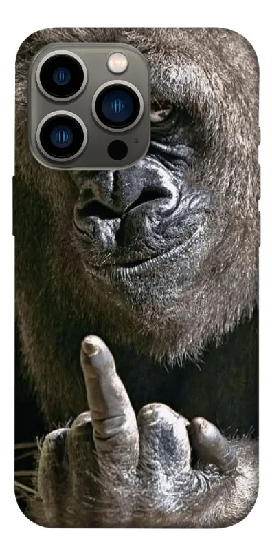 Чохол на Apple iPhone 13 Pro (6.1") Surprise фото 1 з 1