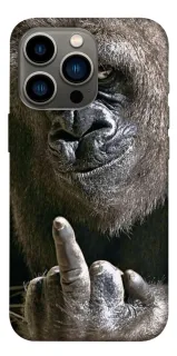Чохол на Apple iPhone 13 Pro (6.1") Surprise фото 1 з 1