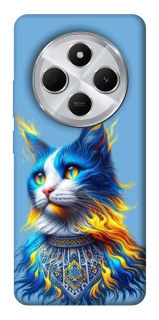 Чехол на Xiaomi Redmi 14C / Poco C75 Кот патриот фото 1 из 1