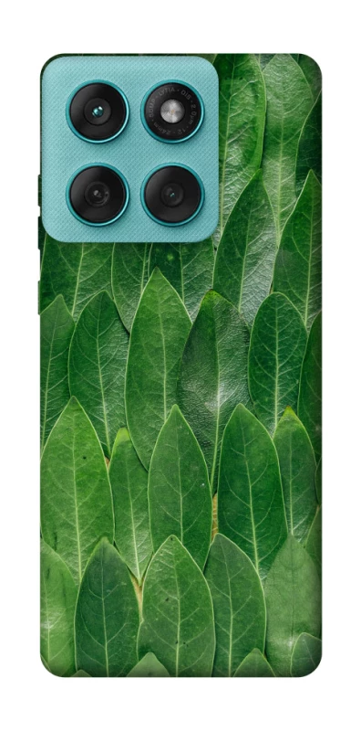 Чохол на Motorola Edge 60 Fusion Листя фото 1 з 1