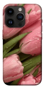 Чохол на Apple iPhone 14 Pro (6.1") Beauty фото 1 з 1