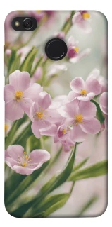 Чехол на Xiaomi Redmi 4X Spring фото 1 из 1