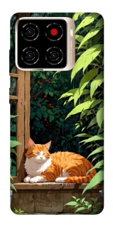 Чохол на ZTE Blade A56 red cat фото 1 з 1