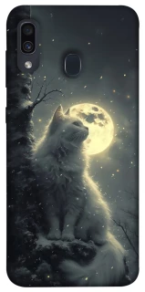 Чехол на Samsung Galaxy A20 / A30 Кот под луной фото 1 из 1