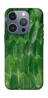 Чехол на Apple iPhone 16 Pro Листья фото 1 из 1