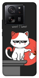 Чехол на Xiaomi 13T Pro I do what i wont фото 1 Чехол на Xiaomi 13T Pro I do what i wont фото 1 из 1