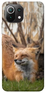 Чехол на Xiaomi Mi 11 Lite Лиса фото 1 из 1