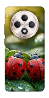 Чохол на Oppo Reno 12 F 4G/5G Flowers v23 фото 1 з 1