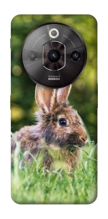 Чехол на ZTE Nubia Focus Pro Кролики фото 1 из 1